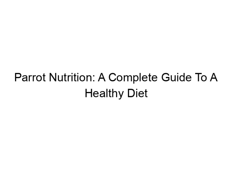 Parrot Nutrition: A Complete Guide To A Healthy Diet