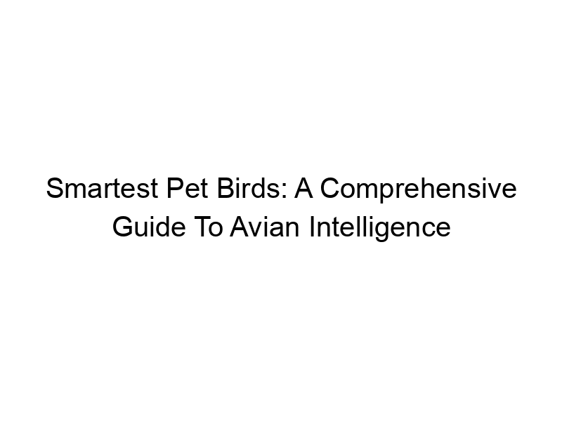 Read more about the article Smartest Pet Birds: A Comprehensive Guide To Avian Intelligence