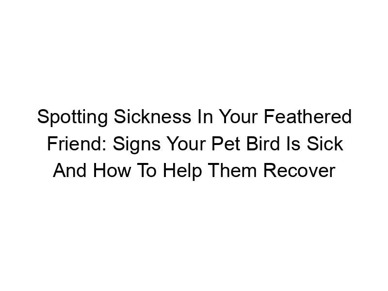 Read more about the article Spotting Sickness In Your Feathered Friend: Signs Your Pet Bird Is Sick And How To Help Them Recover