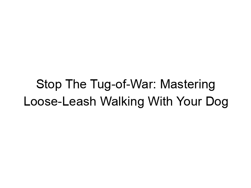 Read more about the article Stop The Tug-of-War: Mastering Loose-Leash Walking With Your Dog
