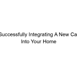 Successfully Integrating A New Cat Into Your Home