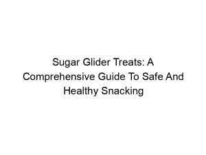 Read more about the article Sugar Glider Treats: A Comprehensive Guide To Safe And Healthy Snacking