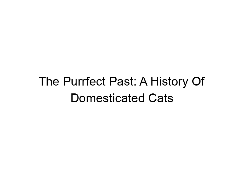 Read more about the article The Purrfect Past: A History Of Domesticated Cats