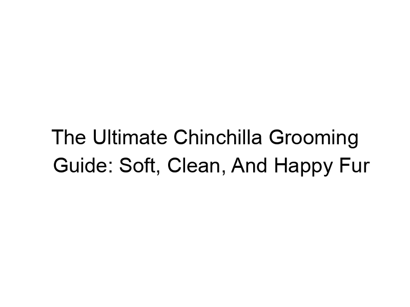 Read more about the article The Ultimate Chinchilla Grooming Guide: Soft, Clean, And Happy Fur