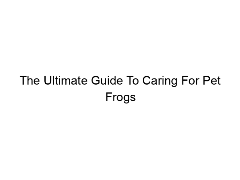The Ultimate Guide To Caring For Pet Frogs