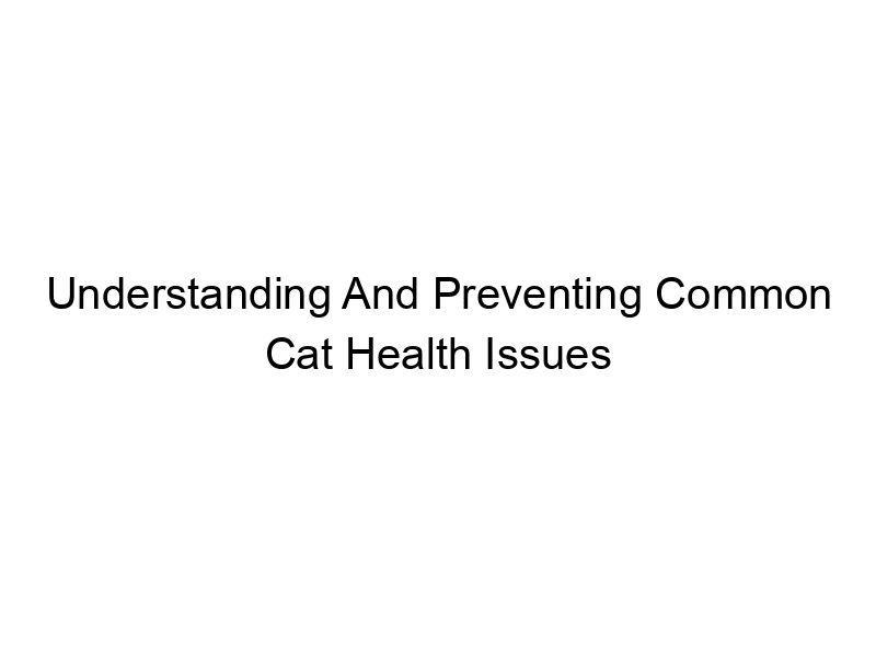 Read more about the article Understanding And Preventing Common Cat Health Issues