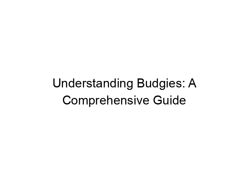 Read more about the article Understanding Budgies: A Comprehensive Guide