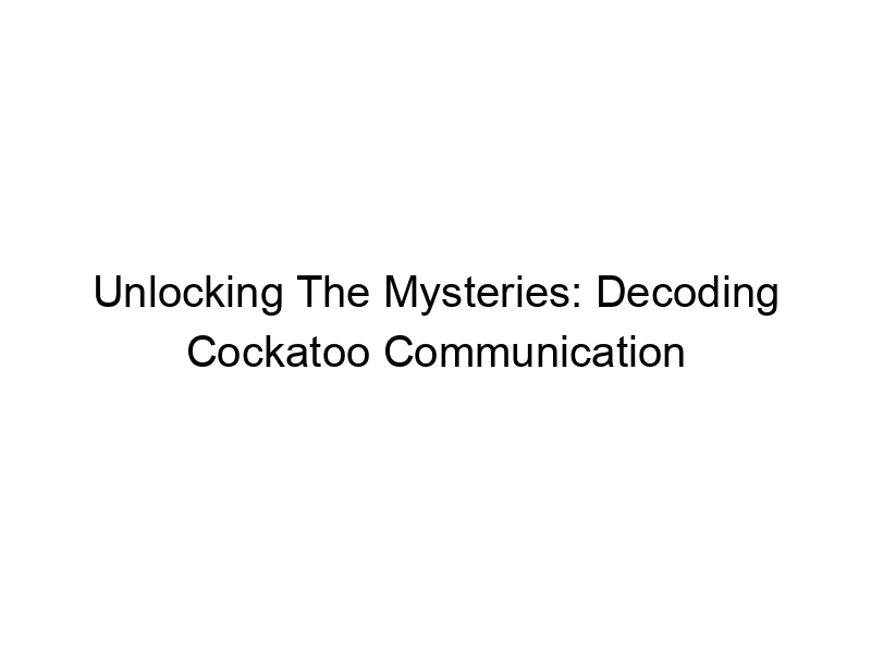 Read more about the article Unlocking The Mysteries: Decoding Cockatoo Communication