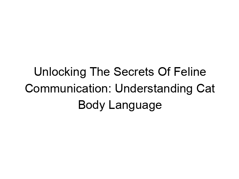 Read more about the article Unlocking The Secrets Of Feline Communication: Understanding Cat Body Language