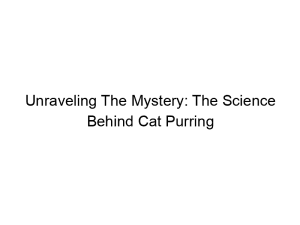 Read more about the article Unraveling The Mystery: The Science Behind Cat Purring