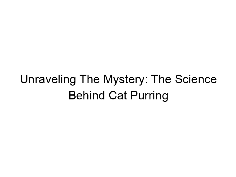 Read more about the article Unraveling The Mystery: The Science Behind Cat Purring