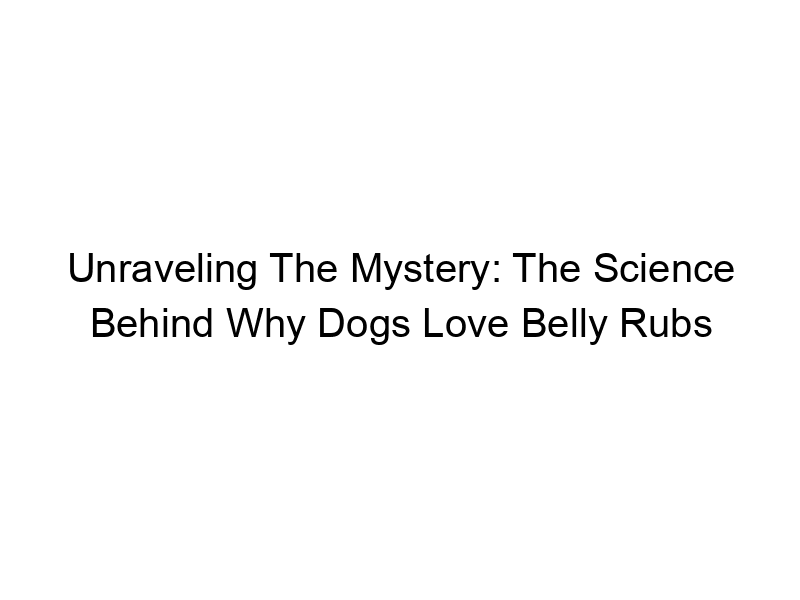Read more about the article Unraveling The Mystery: The Science Behind Why Dogs Love Belly Rubs
