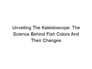 Read more about the article Unveiling The Kaleidoscope: The Science Behind Fish Colors And Their Changes